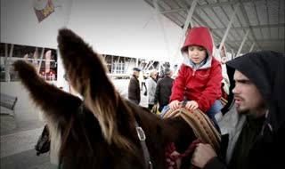 Exposição FÉ NOS BURROS na 29ª Ovibeja
